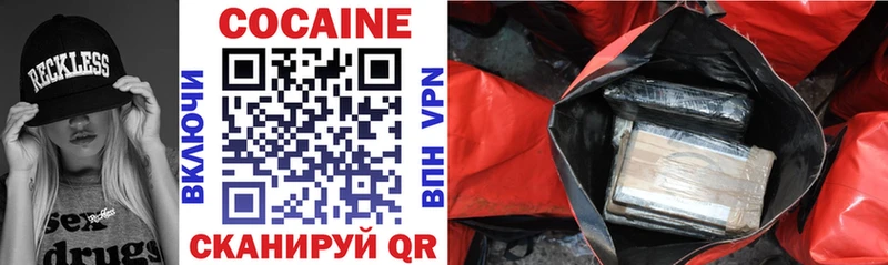 COCAIN FishScale  Купить где  Закаменск 