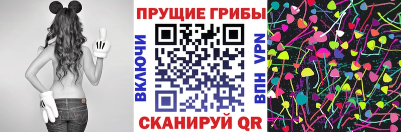 Купить где Закаменск Галлюциногенные грибы MAGIC MUSHROOMS